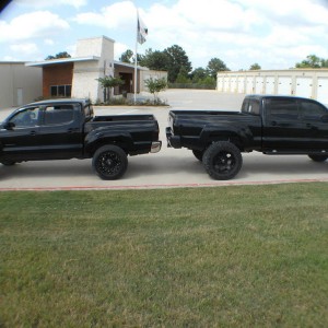 05 tacomas