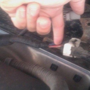 tail light plug 3