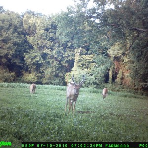 food_plot_2010_016