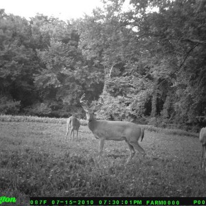 food_plot_2010_019