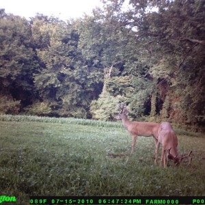 food_plot_2010_011