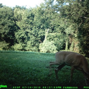 food_plot_2010_009