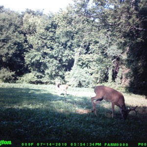 food_plot_2010_006