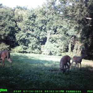food_plot_2010_007