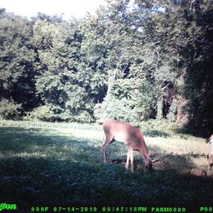 food_plot_2010_004