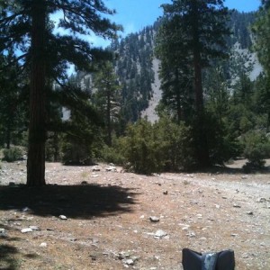 Lytle Creek - 3N06a (Coldwater Camp)