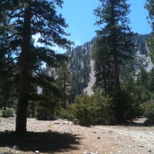 Lytle Creek - 3N06a (Coldwater Camp)