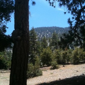 Lytle Creek - 3N06a (Coldwater Camp)