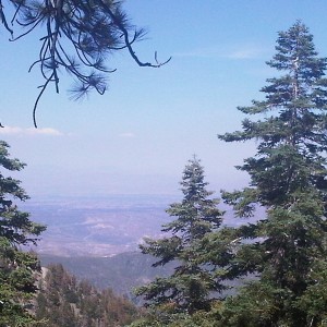 Baldy Road