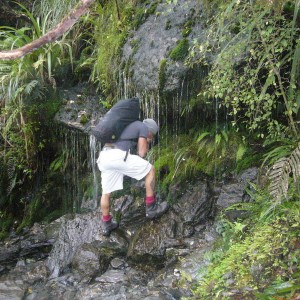 Drinking water from a melting glacier.