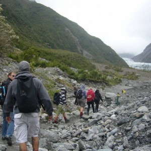 Trek to Fox Glacier