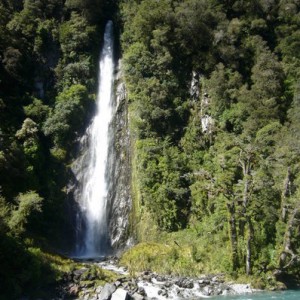 That water looks so good you just wanna jump right in.