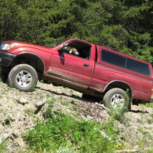 Truck and dog