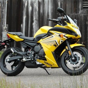 fz6r