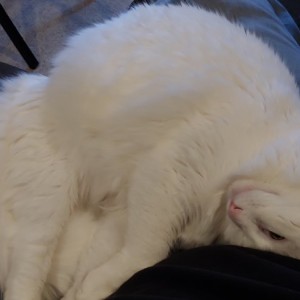livekAFTa9.jpg