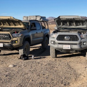 Toyota_Tacomas_2016_Quicksand_with_2018_Cement_010119