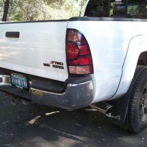 Taillight Bezels