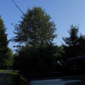 DSCN01771