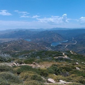 IMAG0057