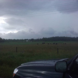 Stormy night