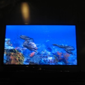 3D TV