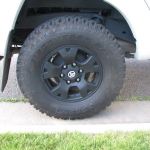 Wheels and Pups