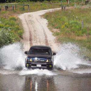 IMG_0457_3_copy