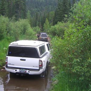 camping with the wildernest
