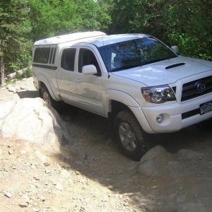 camping with the wildernest