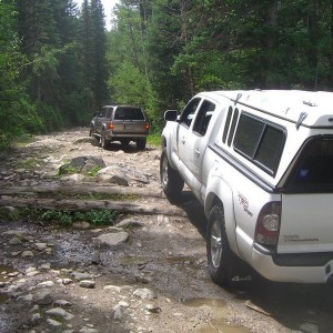 camping with the wildernest