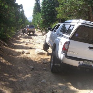 camping with the wildernest