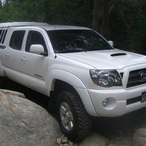 camping with the wildernest