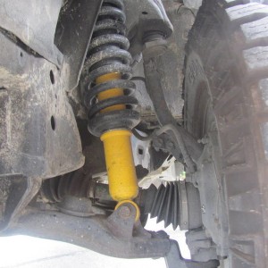 OME 883 coil with OME shocks