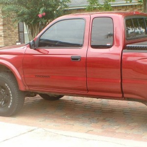 pics of SOCKS decals
