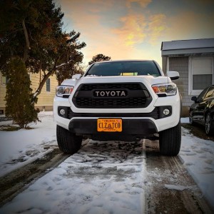 TRD Pro Grill