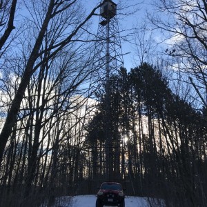 Chequamegon Forest