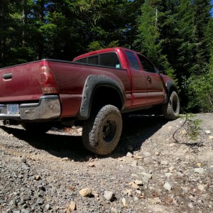Mt. Hood