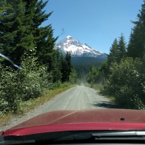 Mt. Hood