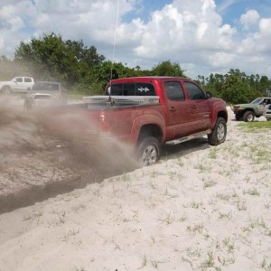 Orlando Meet