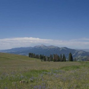 south_from_gravelly