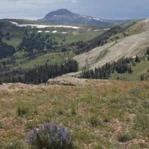 black_butte
