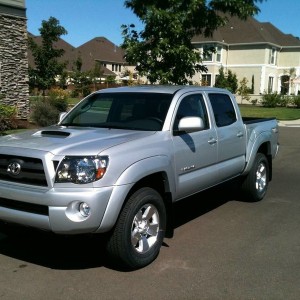 stock