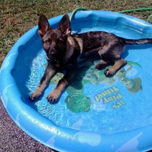 Link in his kiddie pool