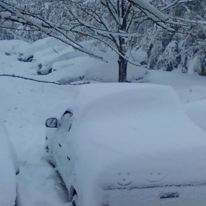 Winter 2010