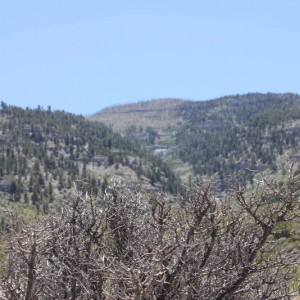IMG_4284