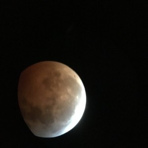 Lunar eclipse January 20,2019