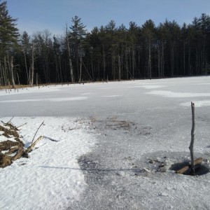 IMG_20190119_095722686