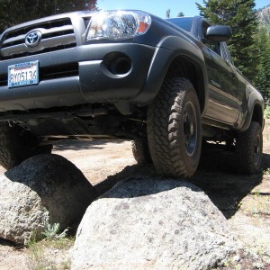 Tacoma 2.5 inch lift