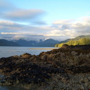 CIMG0054