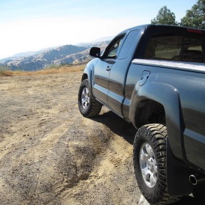 flexing 1